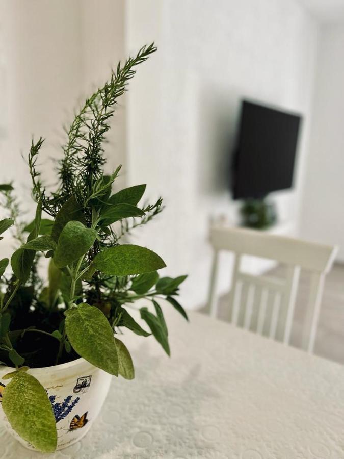 Apartments Juric Mimice Eksteriør billede